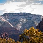 National Park Road Trips: Redwood Hikes to Grand Canyon Glamping
