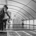 Fog-Powered Salad Gardens: Indoor Farming with Zero Water Waste