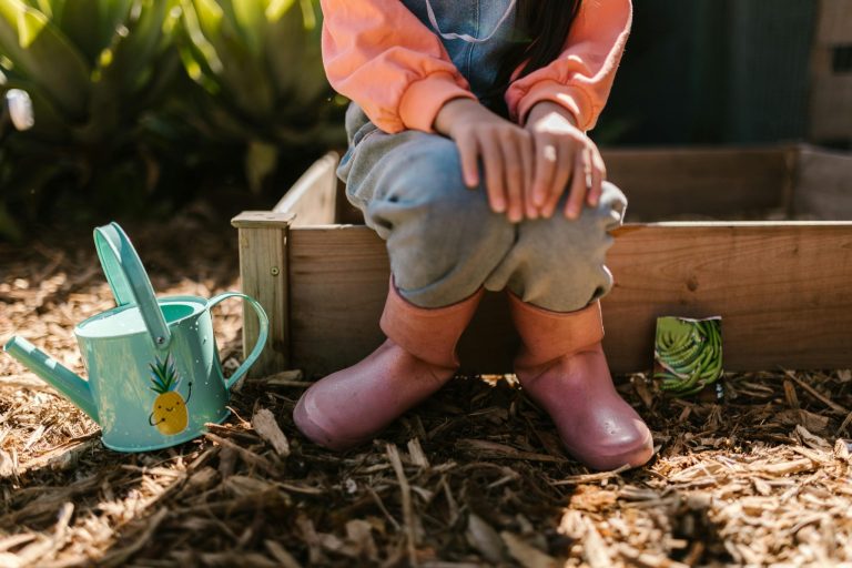 Algae Tires: Michelin’s Bid to Replace Rubber with Plants