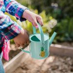 Smart Water Walls: Hydroponic Gardens Feeding Families in Eco-Hotels