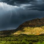 Climate-Resilient Portfolios: Balancing Profit with Planetary Health