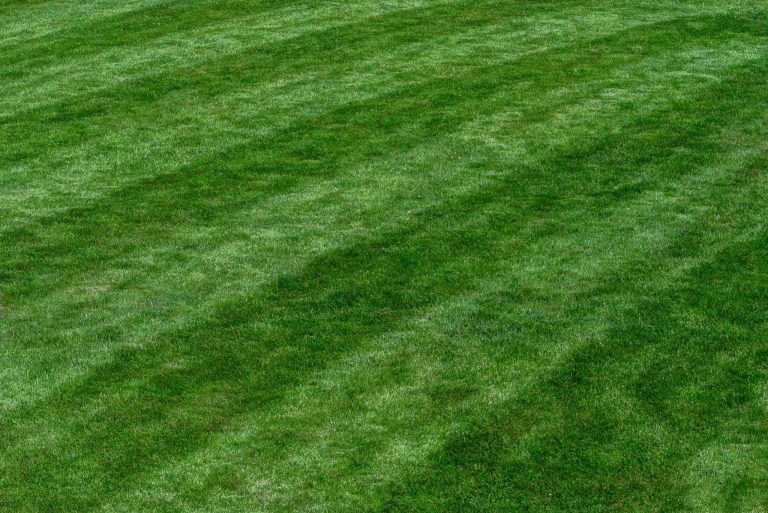 Green Bonds 2.0: How the EU’s New Standards Are Reshaping Investments